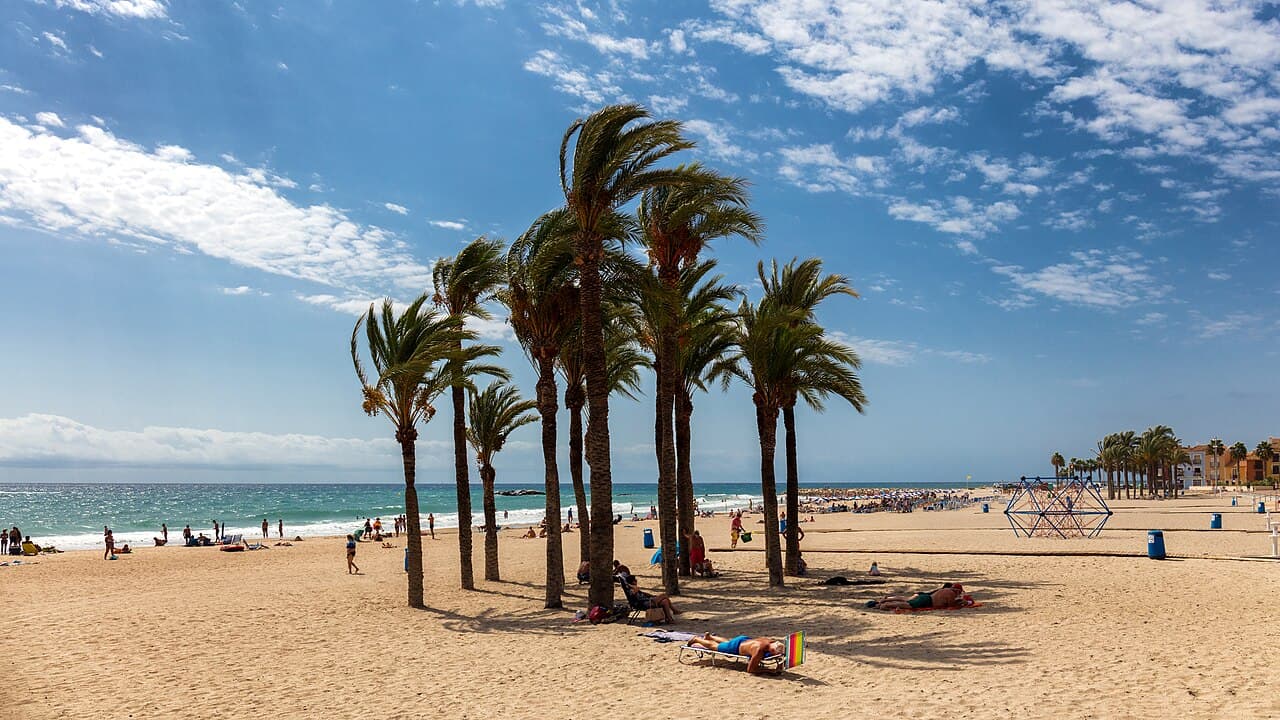 Het strand van Villajoyosa met palmbomen en de gekleurde huizen op de achtergrond